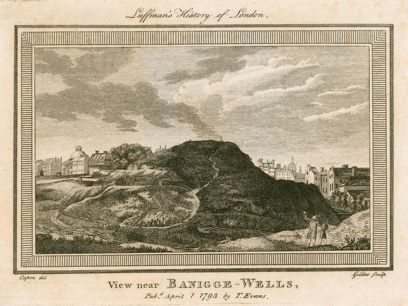 Widok na Bagnigge Wells, w pobliżu Battle Bridge, Islington, Londyn autorstwa William Capon