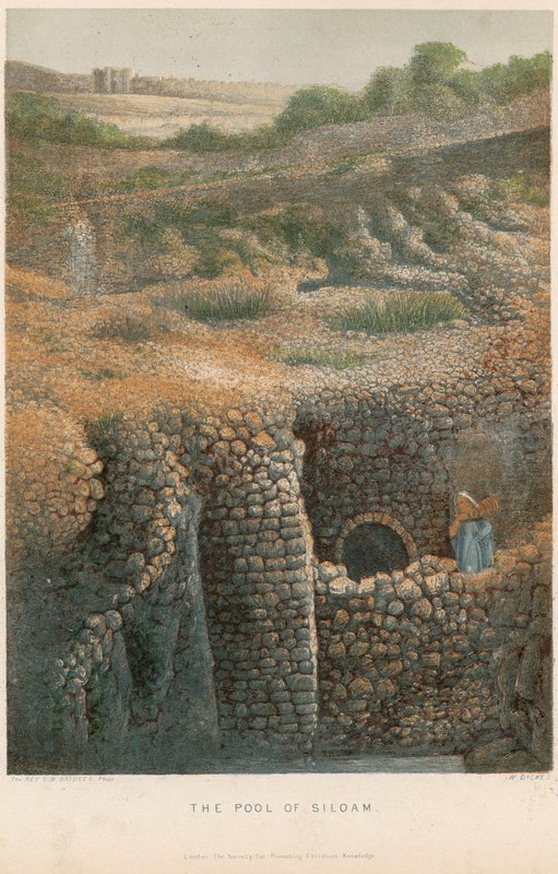 Sadzawka Siloam autorstwa William Dickes