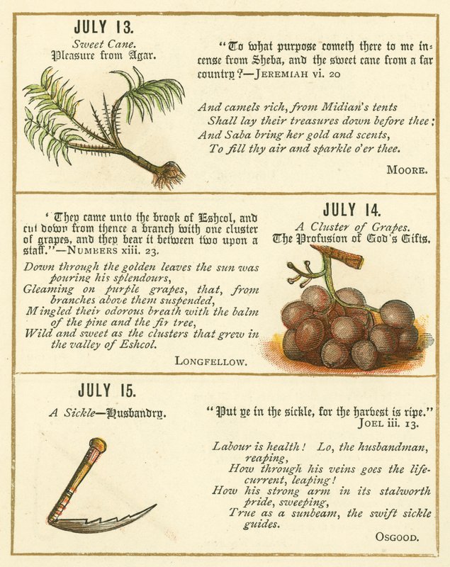Strona z Księgi Jubileuszowej Godła Biblijnego (kolorowa litografia) autorstwa William Foster