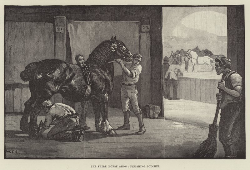 Shire Horse Show, szlify wykończeniowe autorstwa William Frank Calderon