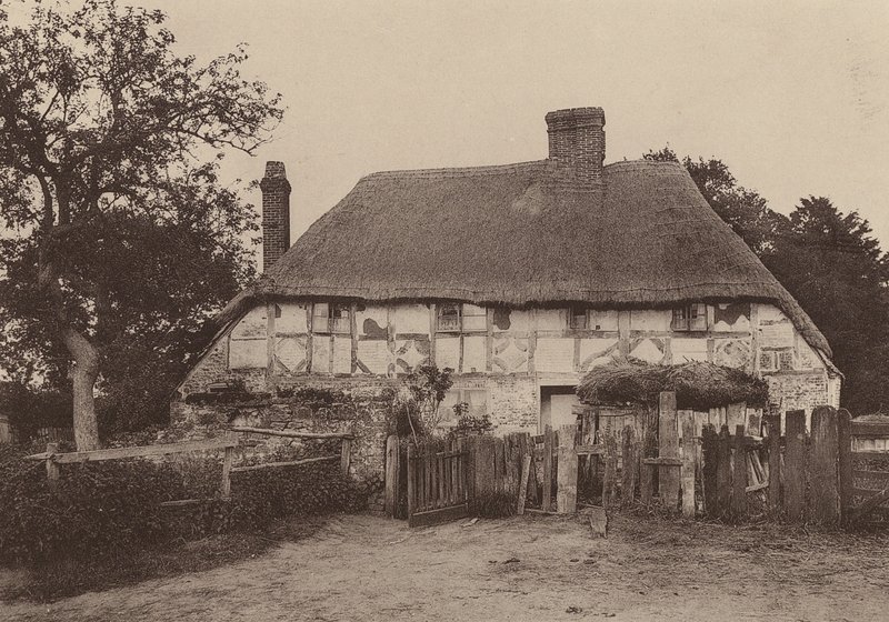 W pobliżu Fittleworth, West Sussex (zdjęcie czarno-białe) autorstwa William Galsworthy Davie