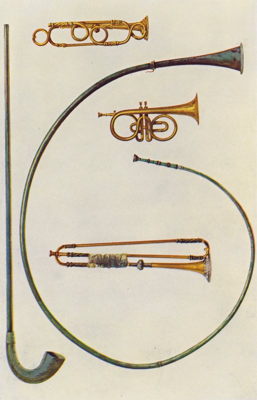 Instrumenty muzyczne: Lituus i Buccina, Kornet, Trąbki (kolorowa litografia) autorstwa William Gibb