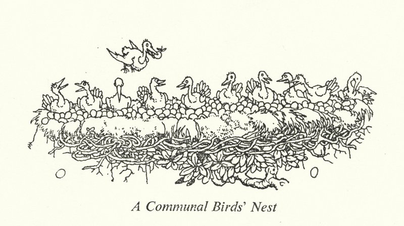 Ptasie gniazdo gminy (lito) autorstwa William Heath Robinson