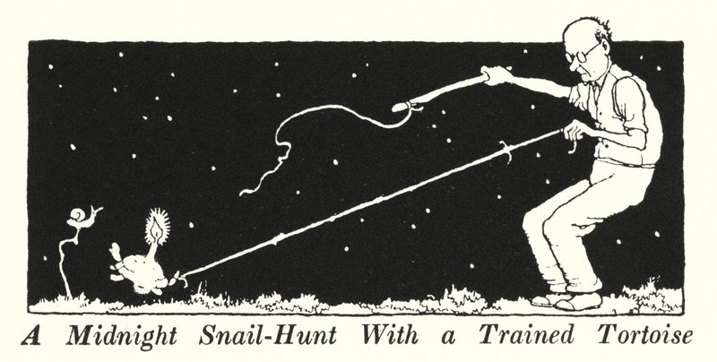 Polowanie na ślimaki o północy z tresowanym żółwiem (litos) autorstwa William Heath Robinson