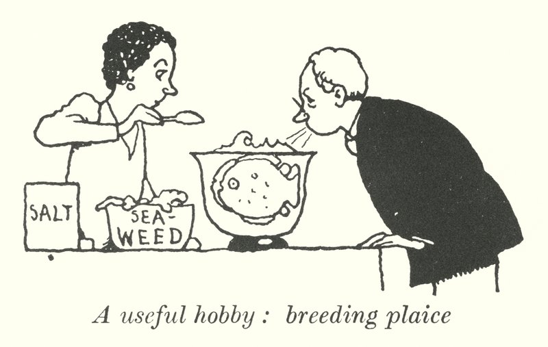 Przydatne hobby, hodowla gładzicy (lito) autorstwa William Heath Robinson