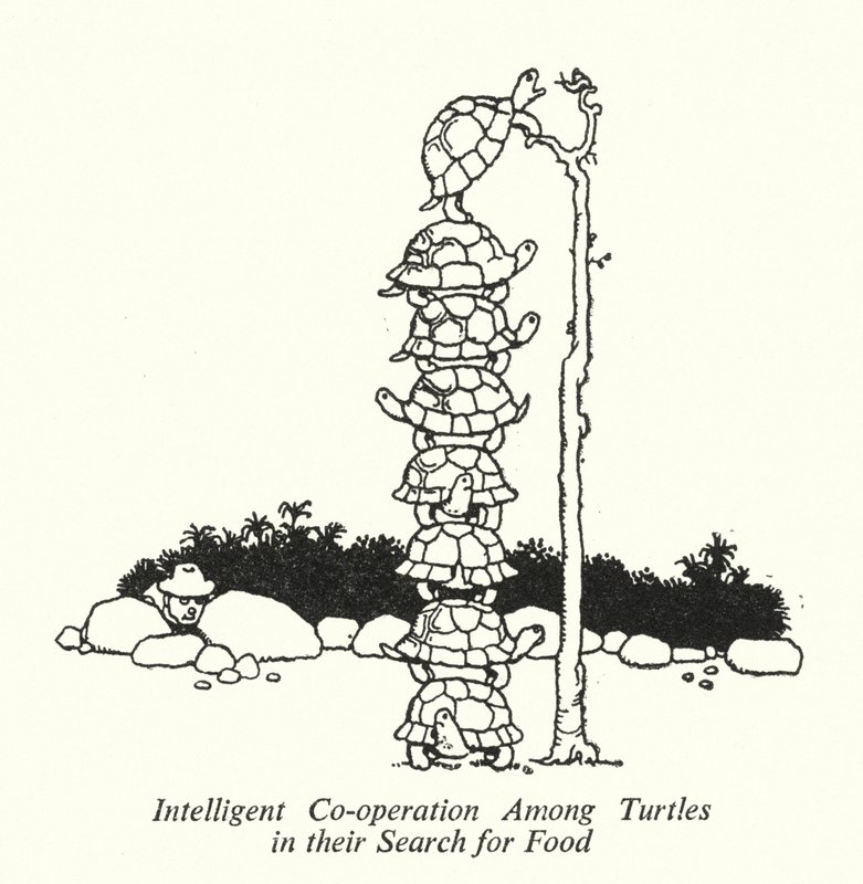 Inteligentna współpraca żółwi w poszukiwaniu pożywienia (lito) autorstwa William Heath Robinson