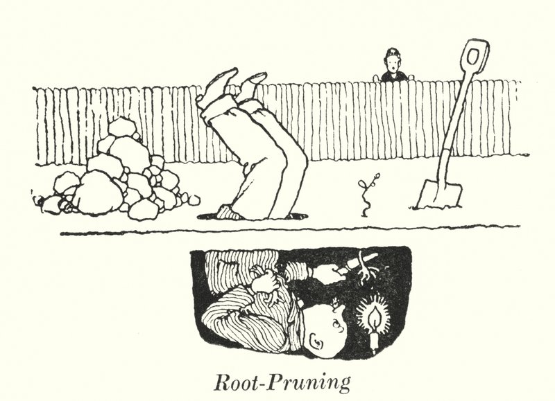 Przycinanie korzeni (litowo) autorstwa William Heath Robinson