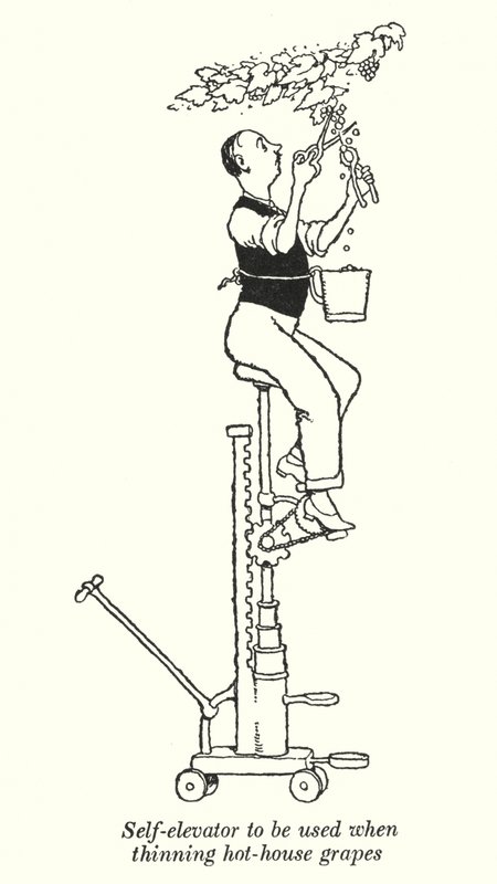 Samopodnośnik używany do przerzedzania winogron cieplarnianych (litowo) autorstwa William Heath Robinson