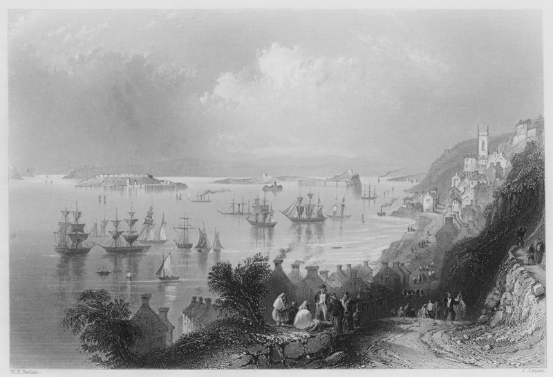 Cove Harbour, w porcie Queenstown (rycina) autorstwa William Henry (after) Bartlett