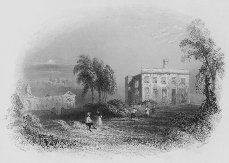 Zamek Dangan, miejsce urodzenia Jego Łaski Księcia Wellington (rycina) autorstwa William Henry (after) Bartlett