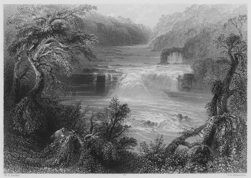 Łosoś Leap w Leixlip (grawerunek) autorstwa William Henry (after) Bartlett