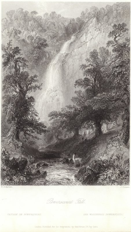 Powerscourt Fall na rzece Dargle autorstwa William Henry Bartlett