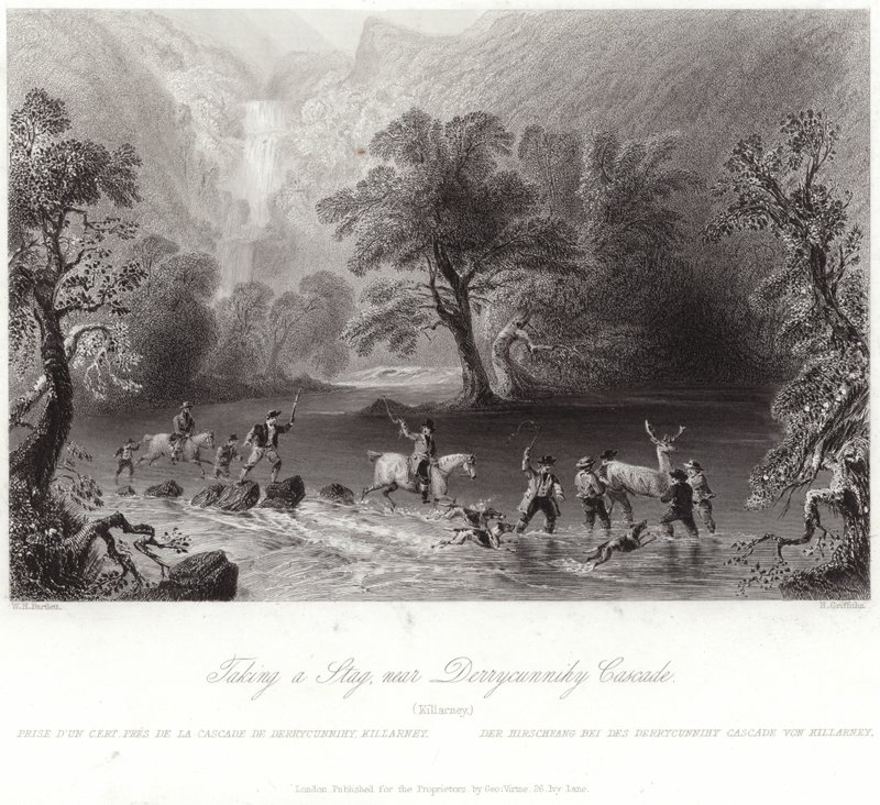 Jeleń w pobliżu Derrycunnihy autorstwa William Henry Bartlett