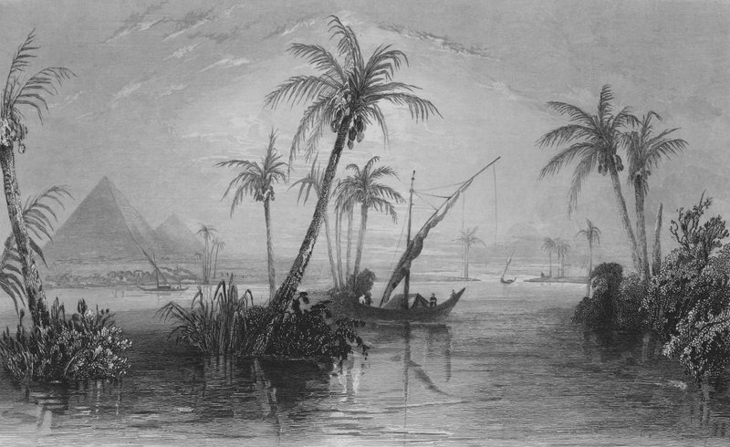 Ziemia Egiptu, Nil (rycina) autorstwa William Henry Bartlett