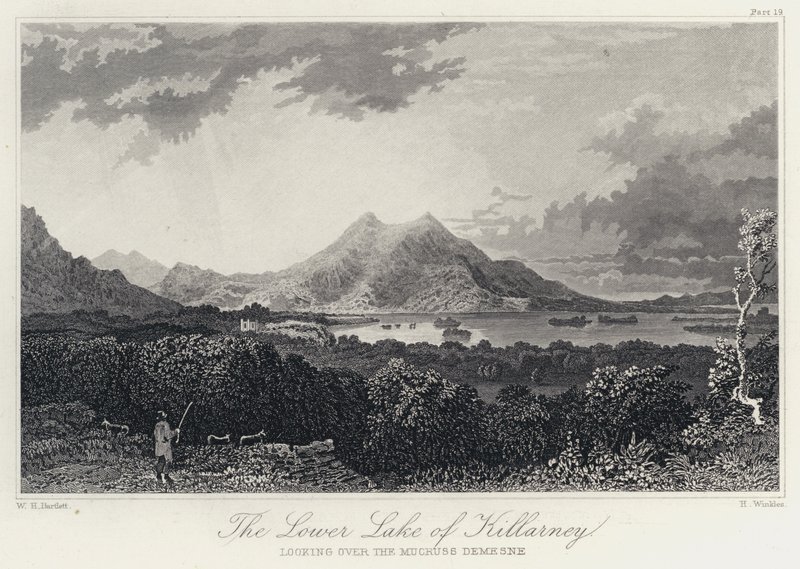 Dolne Jezioro Killarney, z widokiem na Mucruss Demesne (rycina) autorstwa William Henry Bartlett