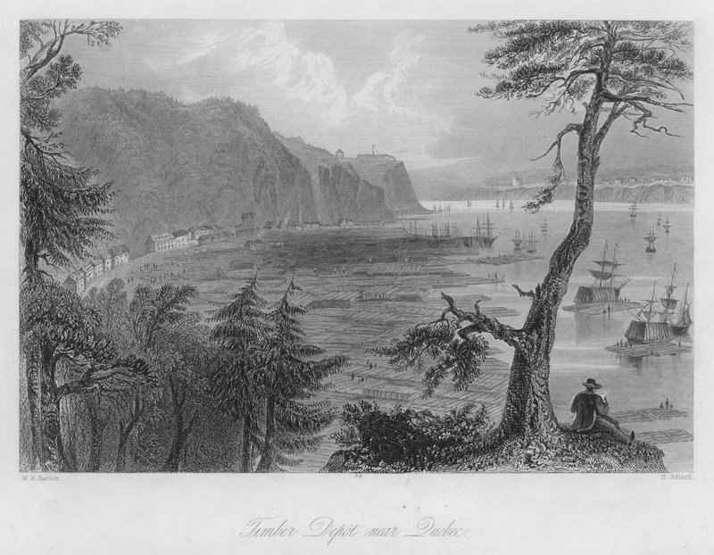 Skład drewna w pobliżu Quebecu (grawerowanie) autorstwa William Henry Bartlett