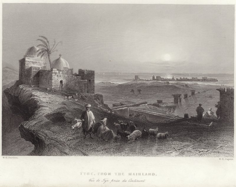 Opona z kontynentu autorstwa William Henry Bartlett