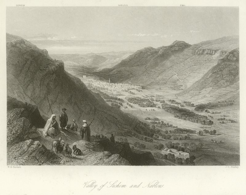 Dolina Sichem i Nablus, Palestyna autorstwa William Henry Bartlett