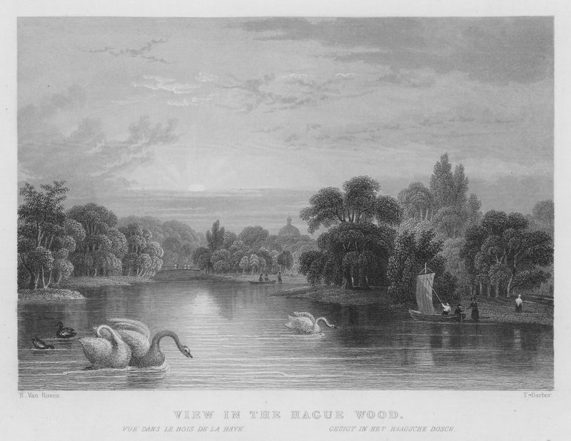 Widok w Lesie Haskim (grawerowanie) autorstwa William Henry Bartlett