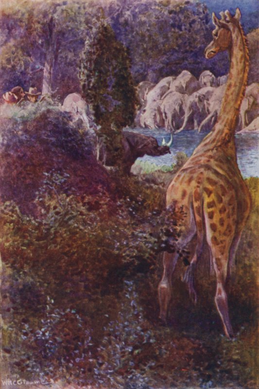 Ilustracja do The Gorilla Hunters autorstwa RM Ballantyne (kolor lito) autorstwa William Henry Charles Groome