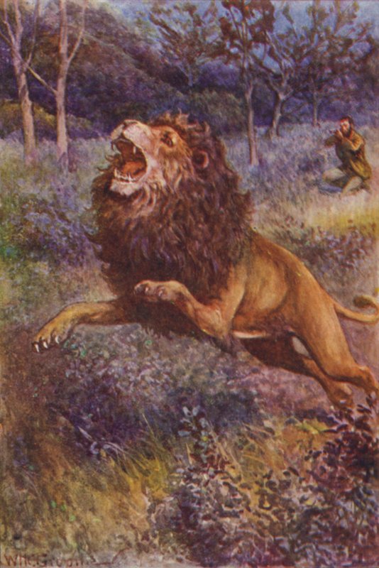 Ilustracja do The Gorilla Hunters autorstwa RM Ballantyne (kolor lito) autorstwa William Henry Charles Groome