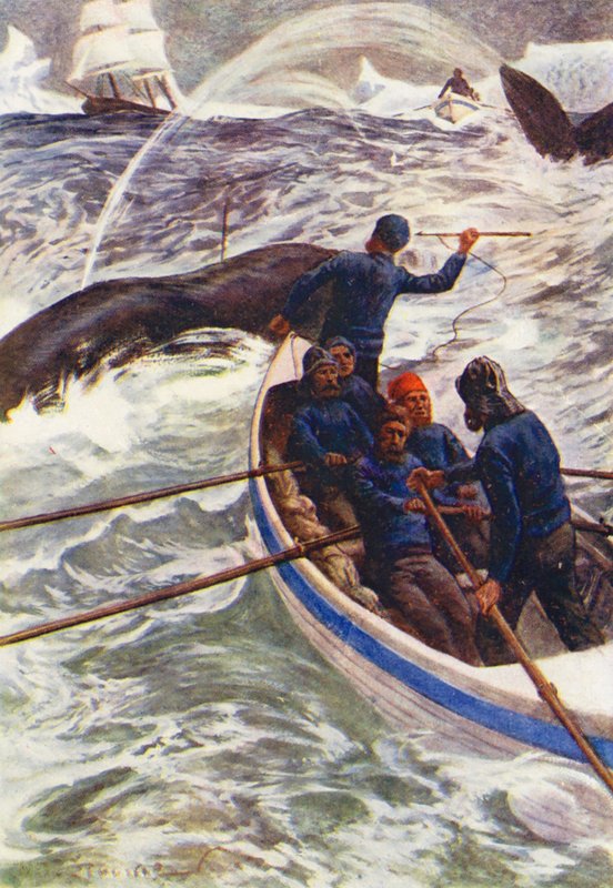 Ilustracja do książki "Świat lodu albo wielorybniczy rejs delfina" (kolorowa litografia) autorstwa William Henry Charles Groome