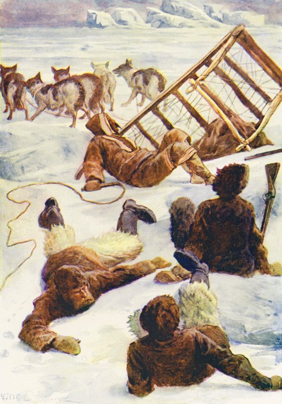 Ilustracja do książki "Świat lodu albo wielorybniczy rejs delfina" (kolorowa litografia) autorstwa William Henry Charles Groome