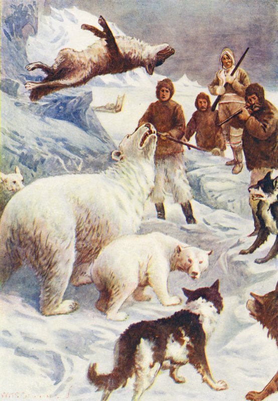 Ilustracja do książki "Świat lodu albo wielorybniczy rejs delfina" (kolorowa litografia) autorstwa William Henry Charles Groome