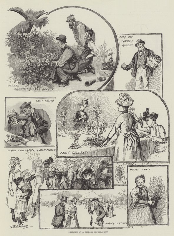 Szkice na wiejskim pokazie kwiatów autorstwa William Henry Charles Groome