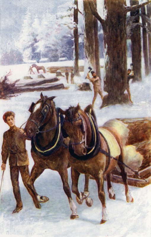„Niektórzy zajmowali się ścinaniem drzew, inni z końmi ciągnącymi pnie, na saniach, po twardym śniegu” (kolor lito) autorstwa William Henry Charles Groome