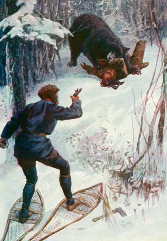 Niedźwiedź stał nad nim, trzymając jedną rękę w pysku autorstwa William Henry Charles Groome