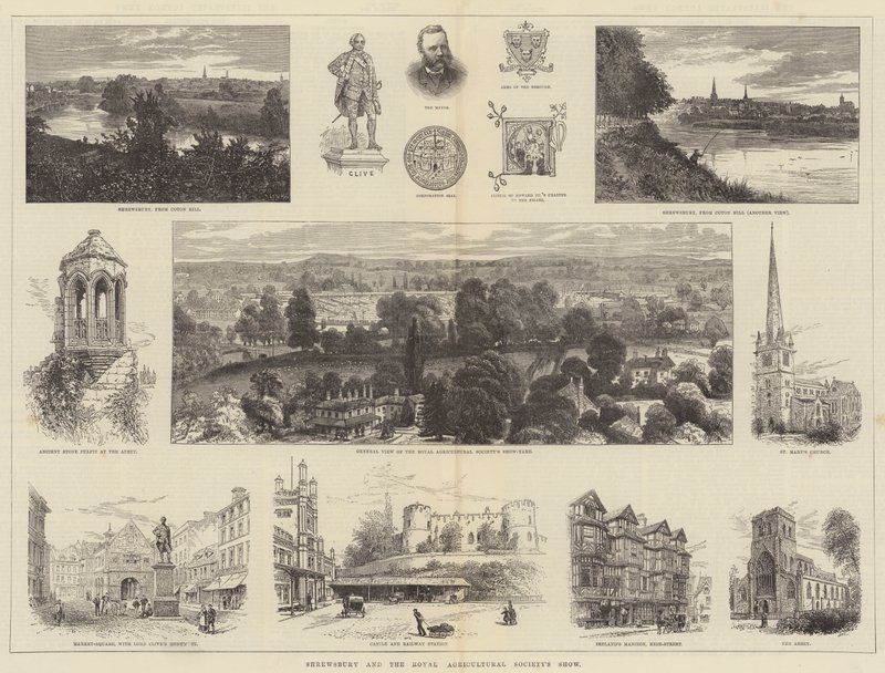Shrewsbury i pokaz Królewskiego Towarzystwa Rolniczego autorstwa William Henry James Boot