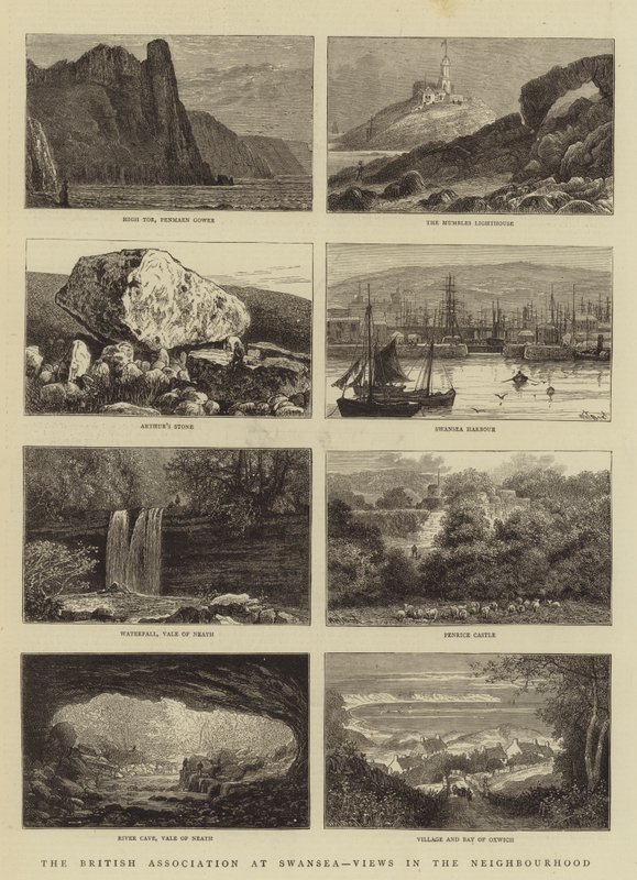 Brytyjskie Stowarzyszenie w Swansea, Widoki w sąsiedztwie autorstwa William Henry James Boot