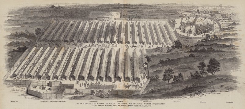 Wdrażanie i pokazy bydła Królewskiego Towarzystwa Rolniczego Anglii na dorocznym spotkaniu w Northampton, 20, 21, 22 lipca 1847 autorstwa William Henry Pike