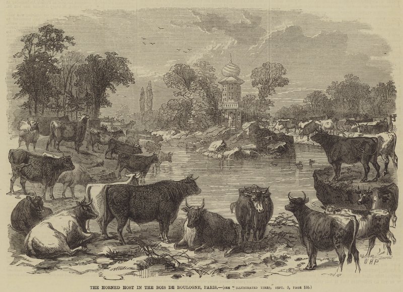 Rogata Hostia w Bois de Boulogne, Paryż autorstwa William Henry Prior