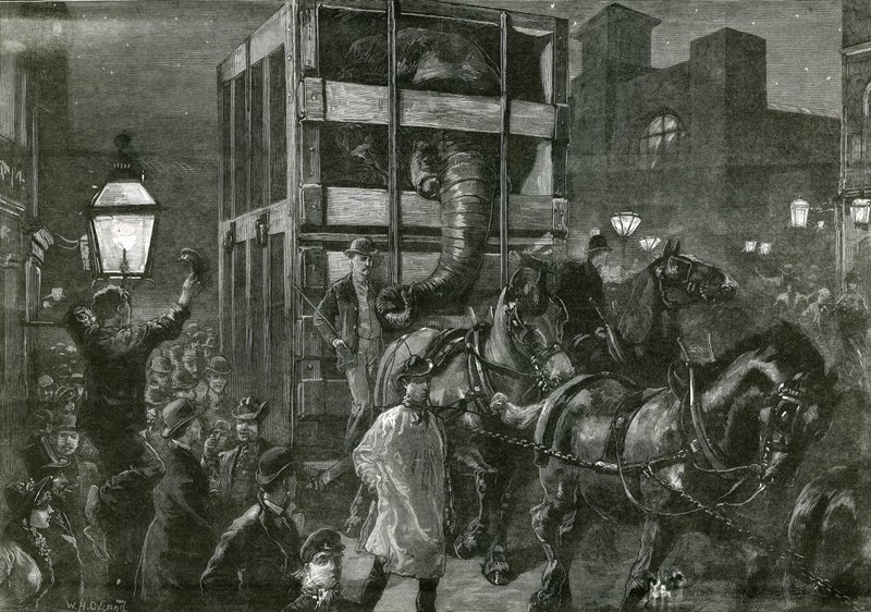 Podróż Jumbo do doków autorstwa William Heysham Overend