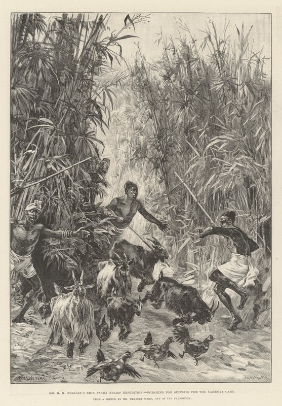 Emin Pasha Relief Expedition pana H M Stanleya, w poszukiwaniu zapasów dla obozu Yambuya autorstwa William Heysham Overend