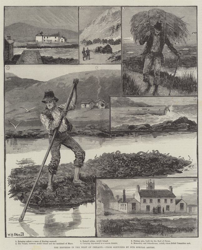 Niepokój na zachodzie Irlandii autorstwa William Heysham Overend