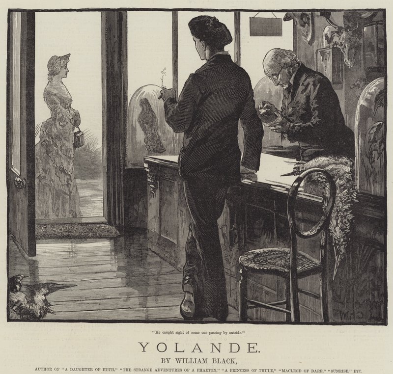 Yolande, autorstwa Williama Blacka autorstwa William Heysham Overend