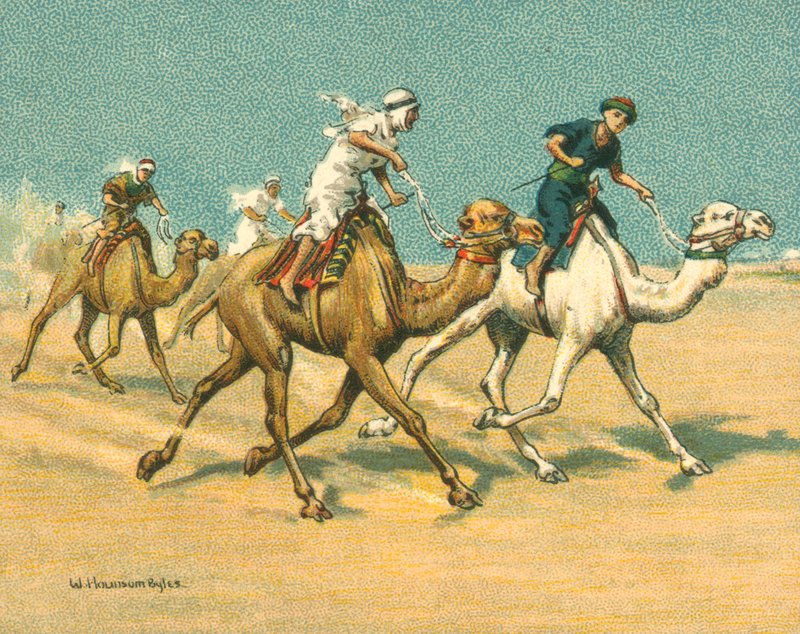 Wyścigi historyczne i współczesne, wyścigi wielbłądów (chromolitho) autorstwa William Hounsom Byles