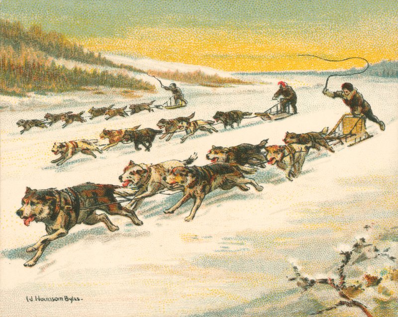 Wyścigi Historyczne i współczesne, kanadyjskie wyścigi psich zaprzęgów (chromolitho) autorstwa William Hounsom Byles