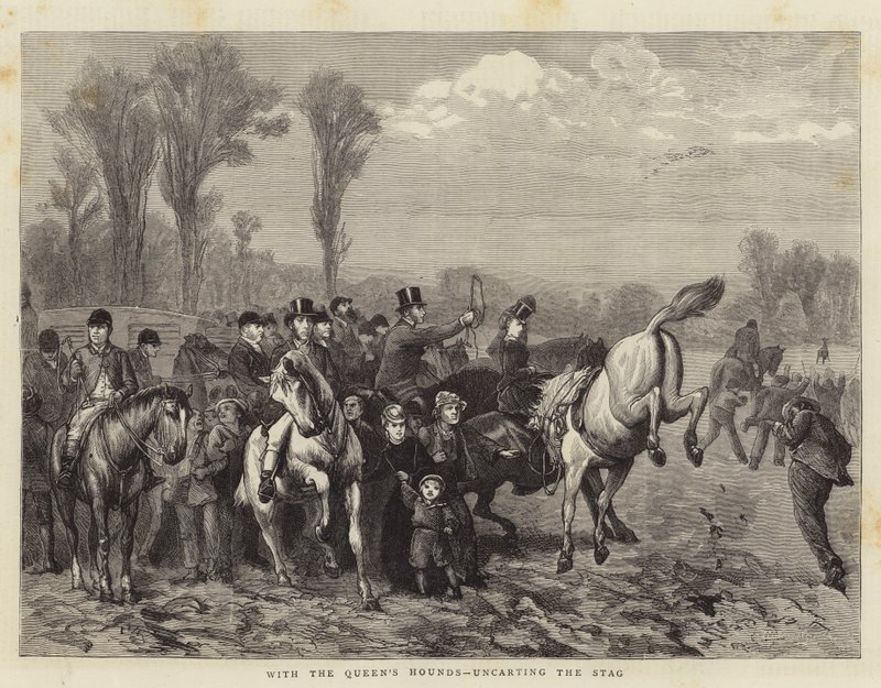 Z ogarami królowej, rozpakowywanie jelenia autorstwa William III Bromley