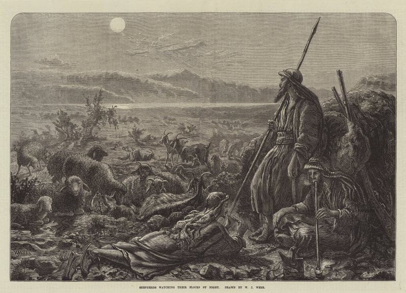 Pasterze pilnujący nocą swoich stad autorstwa William J. Webbe or Webb