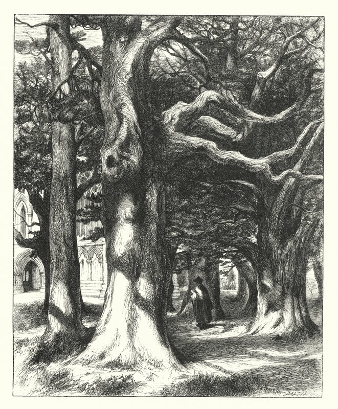 Droga do Kapitularza (rycina) autorstwa William Paton Burton