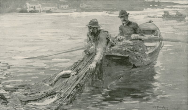 Łosoś z siatki na rzece Fraser, Kolumbia Brytyjska autorstwa William Rainey