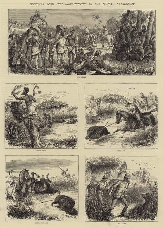 Szkice z Indii, Hog-Hunting w Bombaju Prezydencji autorstwa William Ralston