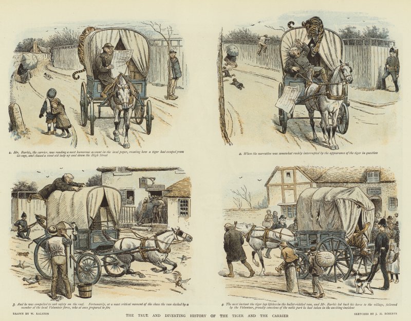 Prawdziwa i odwracająca historia tygrysa i nosiciela (chromolitho) autorstwa William Ralston