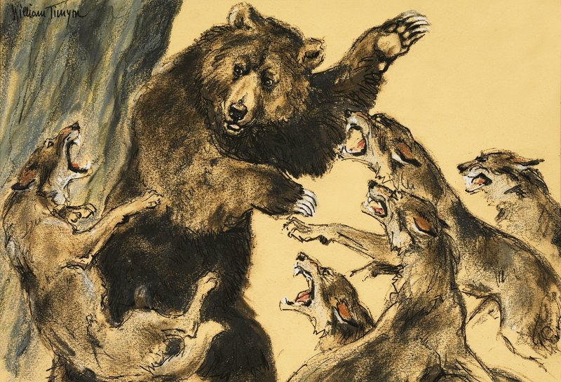 Niedźwiedź walczący z wilkami autorstwa William Timyn