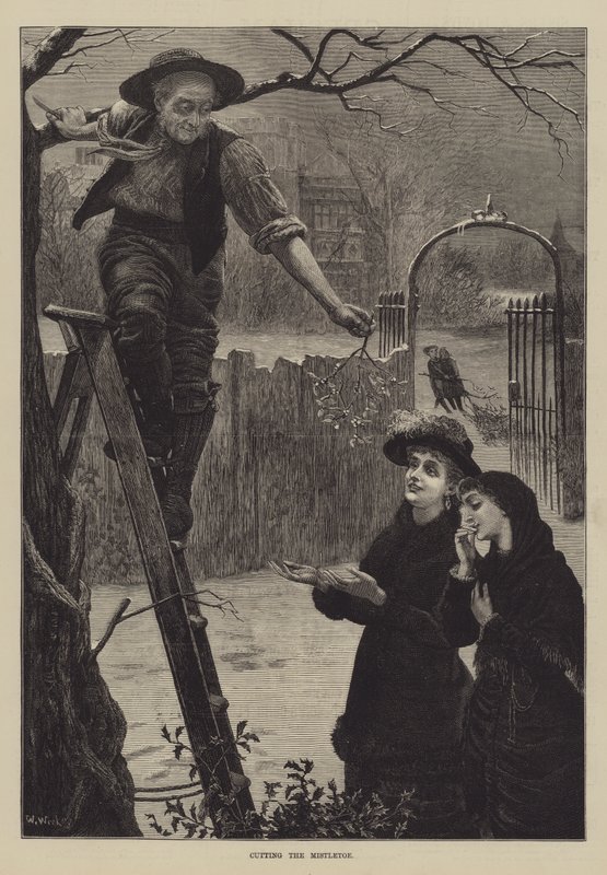 Cięcie jemioły autorstwa William Weekes