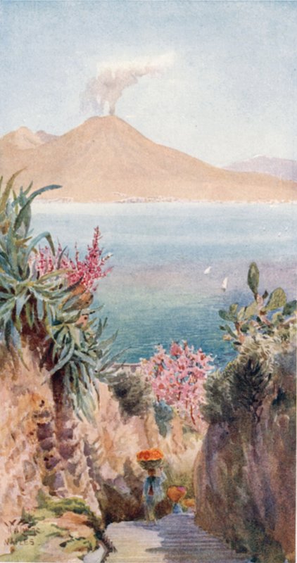 Posillipo. Zatoka Neapolitańska z (kolor lito) autorstwa William Wiehe Collins
